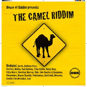 camel riddim cover