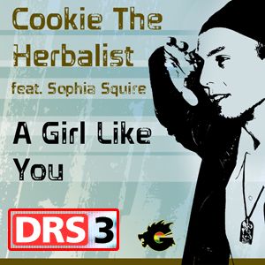 cover_drs3